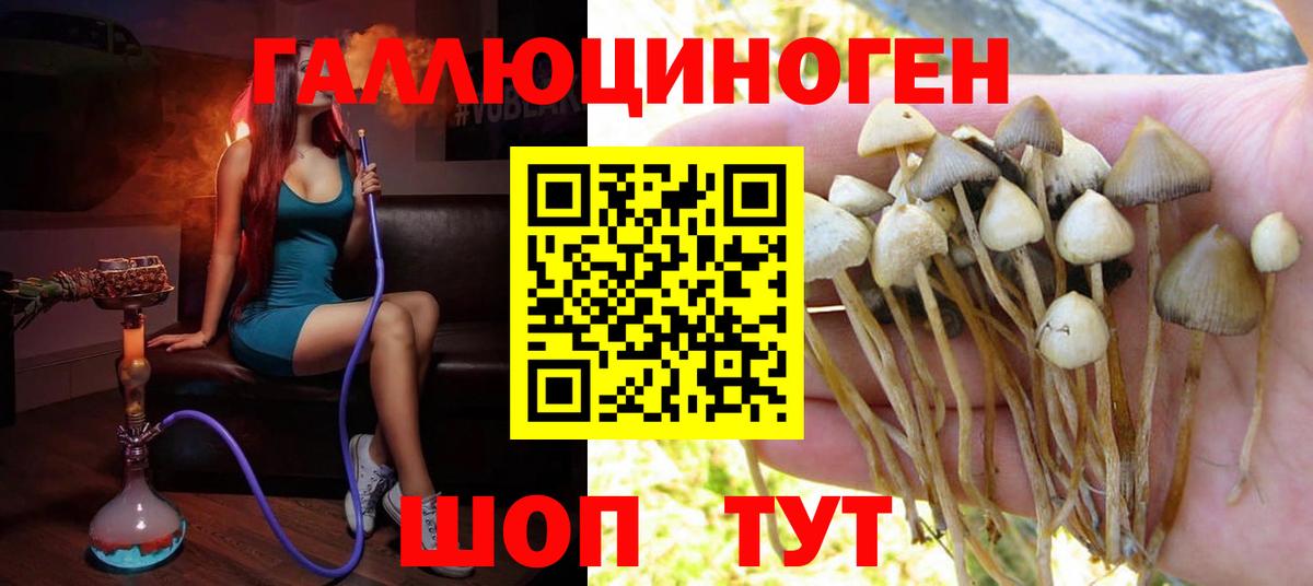 Псилоцибиновые грибы MAGIC MUSHROOMS  Вход с VPN  Аша 